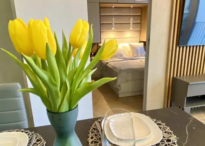 Apartment Grey House + Free Parking *